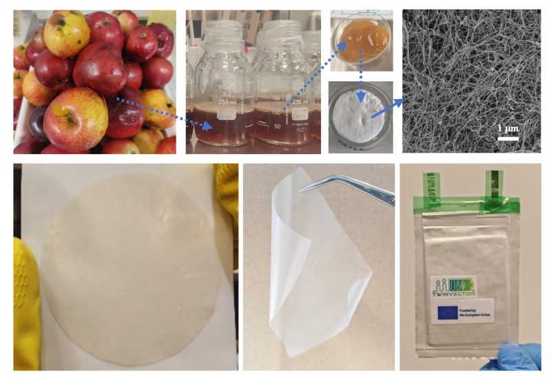 Bacterial Cellulose from Fallen Apples for Polymer Electrolyte and Separator in Lithium Metal Batteries (TBU)