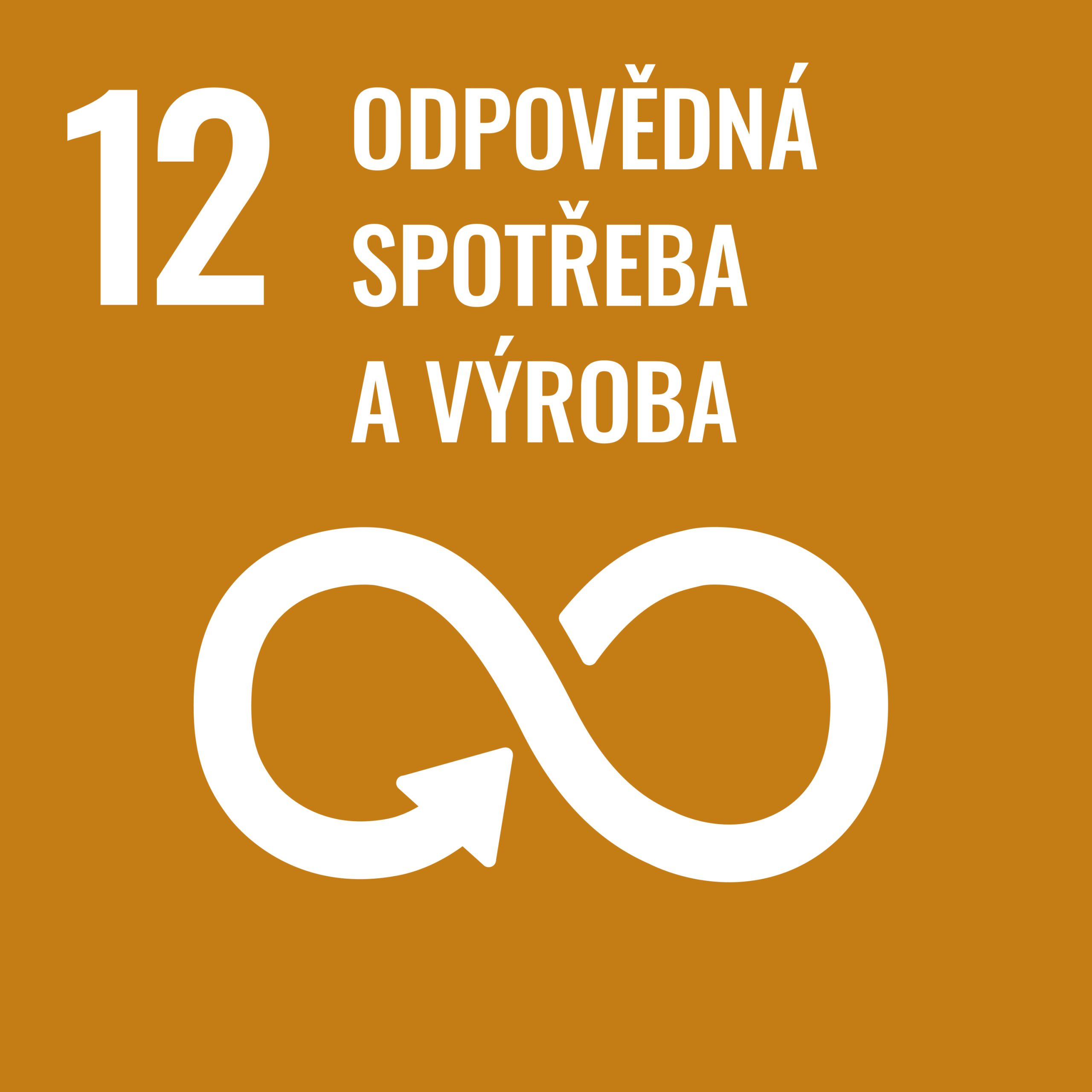 SDGs 12